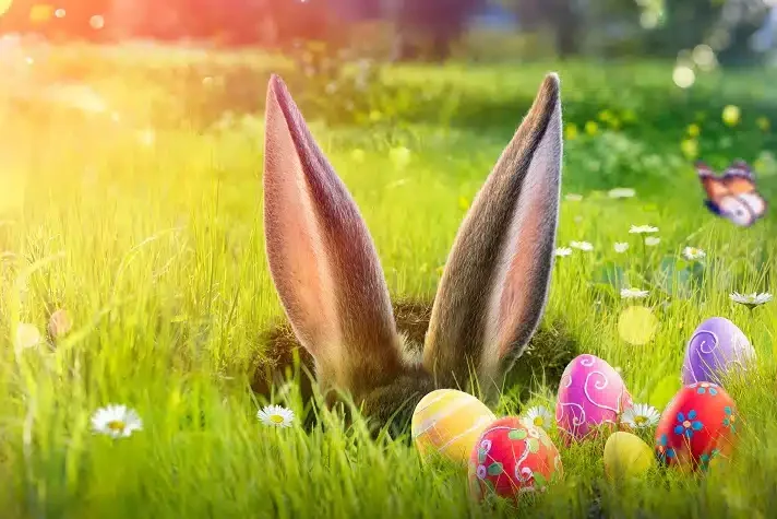 faits-lapin-de-paques