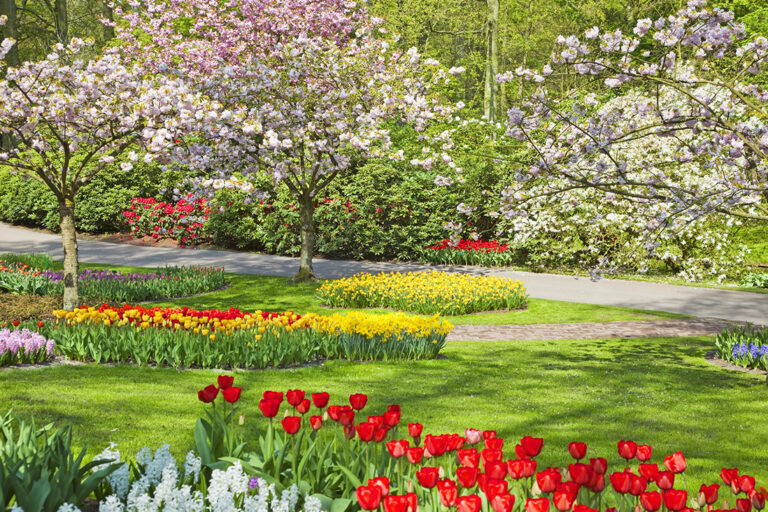Au-printemps-10-gestes-pour-demarrer-le-jardin-et-le-balcon