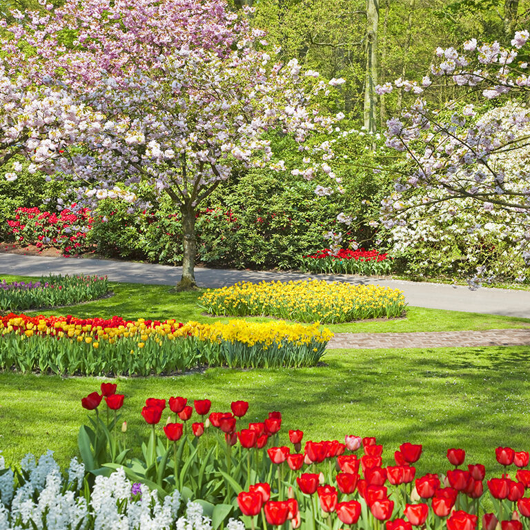 Au-printemps-10-gestes-pour-demarrer-le-jardin-et-le-balcon