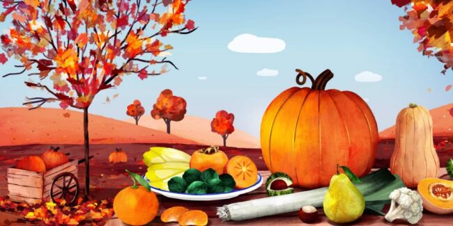 fruits-legumes-saison-novembre-1-1024×512