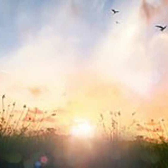 isabelle-sengel-blog-img22