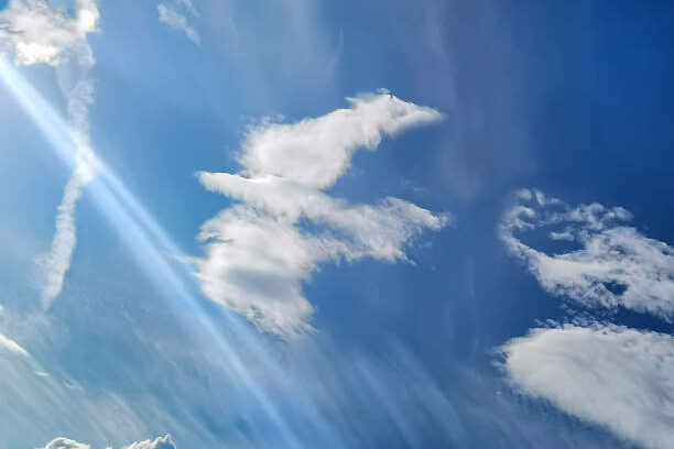 istockphoto-1279109010-612×612